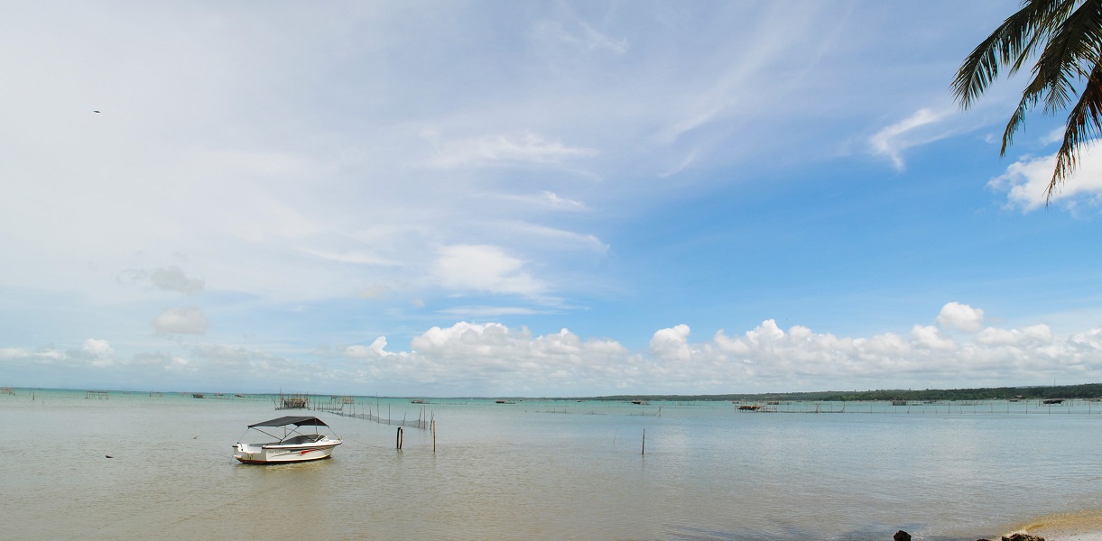  Blue  Fish  Tanjung  Lesung  Resort Nikmati Indahnya Laut 