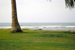 Anyer Siyoni Cottage_20_1